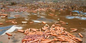 Chuvas provocam alagamentos e deslizamentos pelo interior paulista