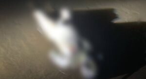 Corpo de homem é encontrado no Rio Machado, em Rondônia