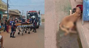 Acidente com cachorro deixa mulher gravemente ferida na zona Leste