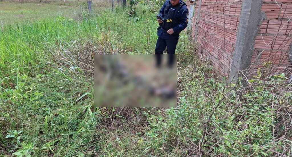 Corpo carbonizado e com mãos amarradas é achado em matagal na zona Leste