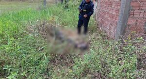 Corpo carbonizado e com mãos amarradas é achado em matagal na zona Leste