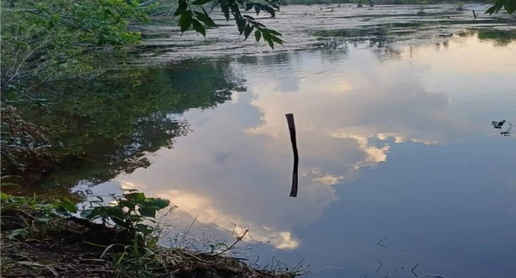 Criança de 2 anos morre após cair em represa em propriedade rural de RO