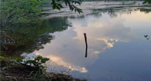 Criança de 2 anos morre após cair em represa em propriedade rural de RO