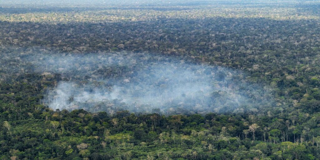 Estudo aponta atividade humana nas emissões de carbono na Amazônia