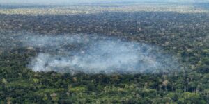 Estudo aponta atividade humana nas emissões de carbono na Amazônia