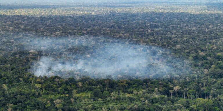 Estudo aponta atividade humana nas emissões de carbono na Amazônia