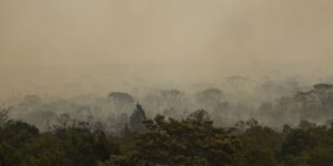 Força Nacional do SUS apoia atendimentos no Amazonas após incêndios