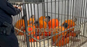 Oito detentos são presos suspeitos de matar colega de cela no presídio 603 em Porto Velho