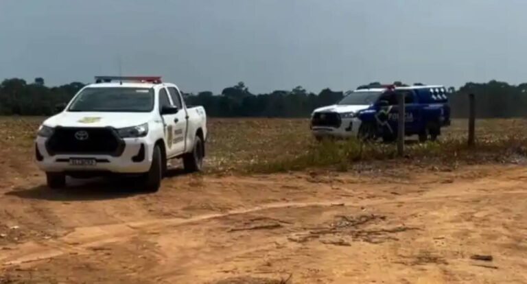 Ossada humana é encontrada por coletor de castanhas em área de mata em RO