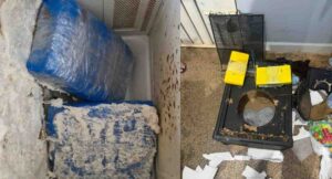 PF apreende cerca de 4,5 kg de drogas em Porto Velho e Apuí durante operação integrada