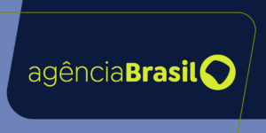 Ibama apaga 229 incêndios no Amazonas e segue no combate ao fogo